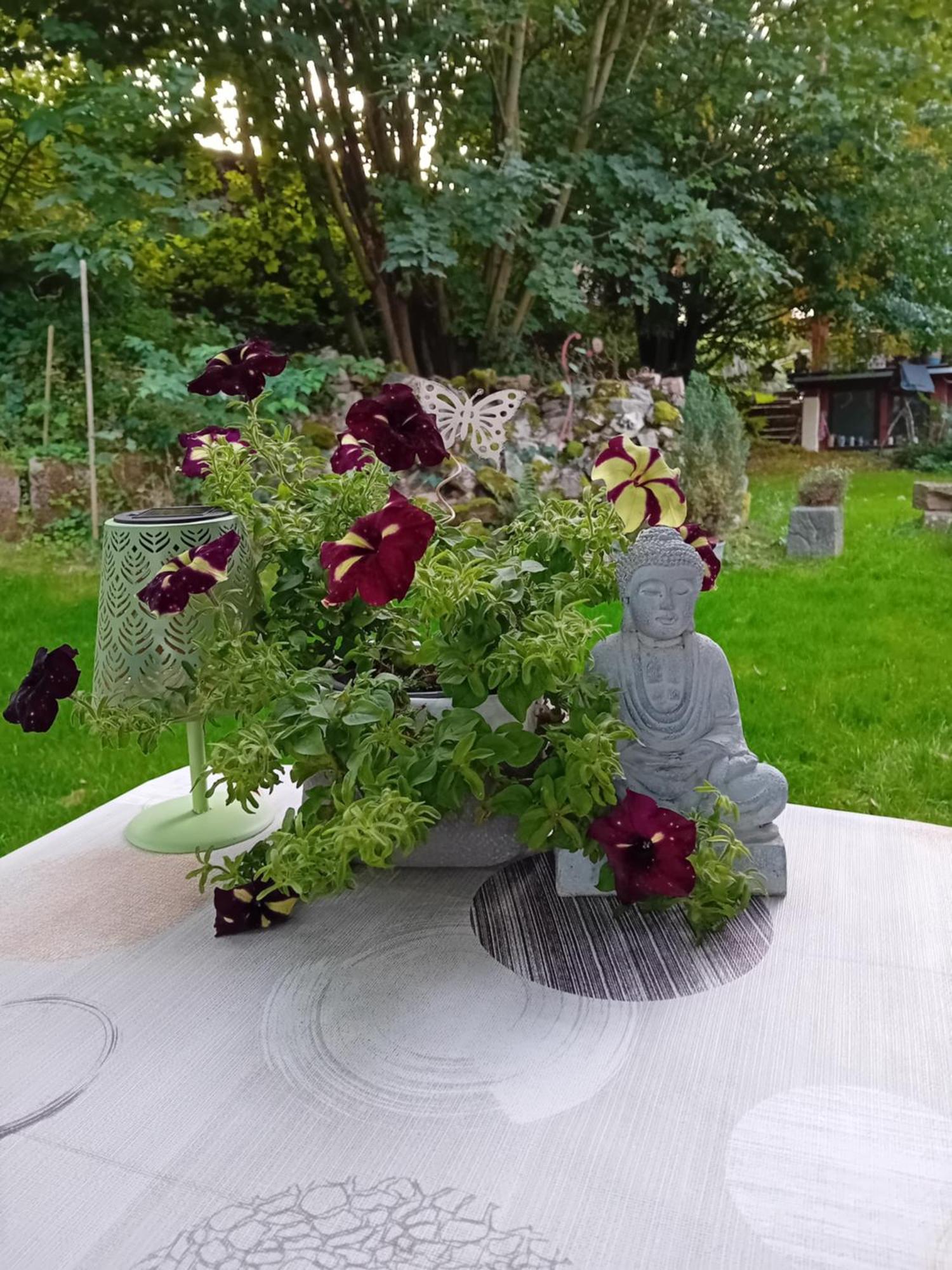 Ferienhaus Mit Garten Im Odenwald Zu Vermieten Frankisch-Crumbach Esterno foto